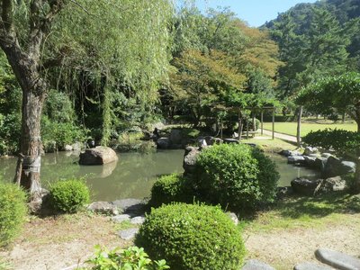 🌳 멀구슬나무 계곡 공원 (오치다니 코엔)